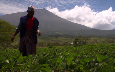 Facing Hunger wins a World Humanitarian Award